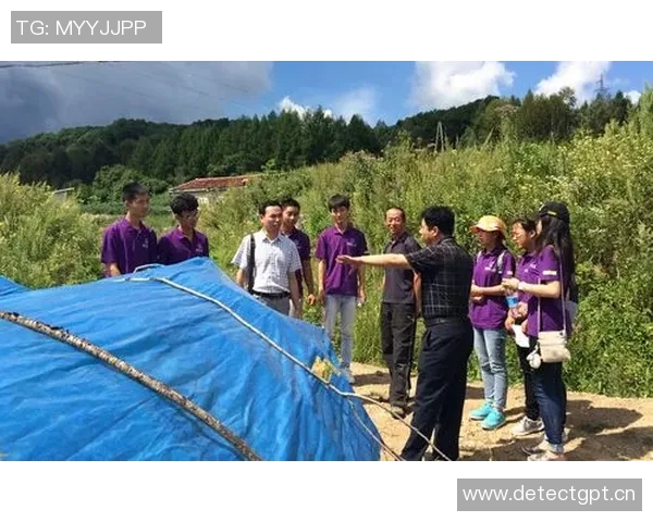 深入分析西安飞盘队的运营策略与发展模式探讨 深入分析西安飞盘队的运营策略与发展模式探讨